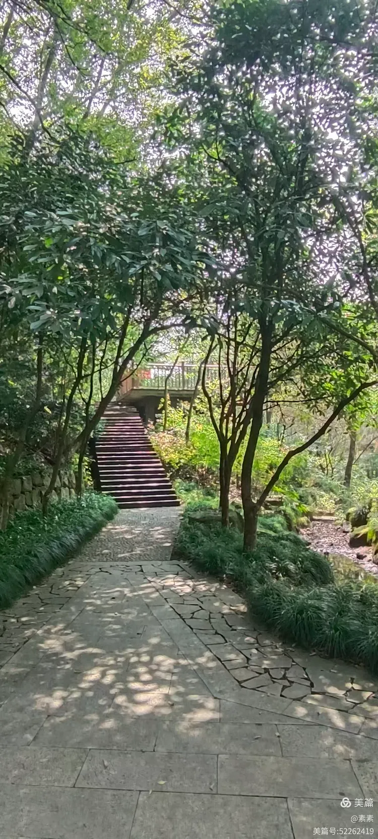 2024年九九重阳节,游杭州半山国家森林公园之龙山,登高望远